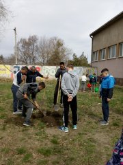 IMG_20190319_103225.jpg